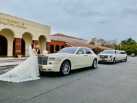 Camelot Specialty Limos